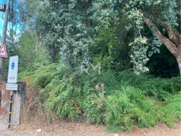Terreno Agricola ou Rústico para Venda em Vilar e Mosteiró