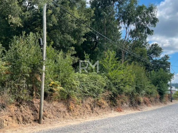 Terreno Agricola ou Rústico para Venda em Vilar e Mosteiró Foto 2