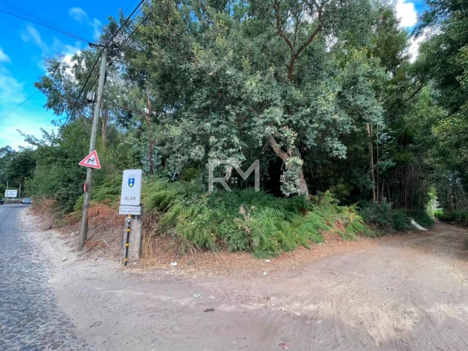 Terreno Agricola ou Rústico para Venda em Vilar e Mosteiró Foto 3
