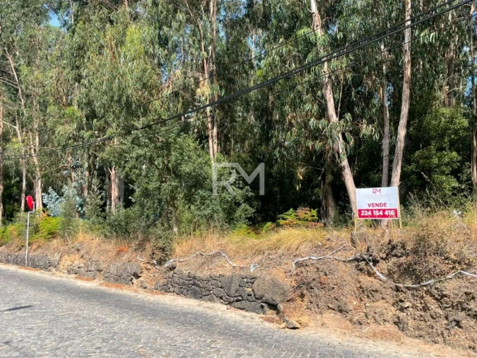 Terreno Agricola ou Rústico para Venda em Vilar e Mosteiró Foto 10