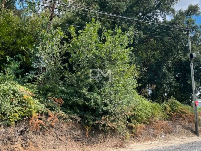 Terreno Agricola ou Rústico para Venda em Vilar e Mosteiró Foto 14