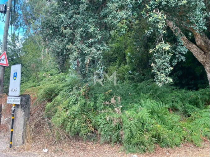 Terreno Agricola ou Rústico para Venda em Vilar e Mosteiró Foto 17