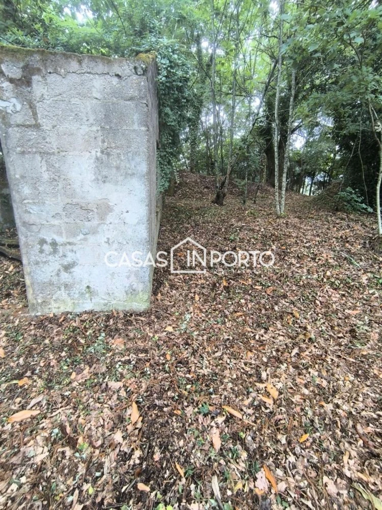 Moradia T10 para Venda em Lobão, Gião, Louredo e Guisande Foto 13