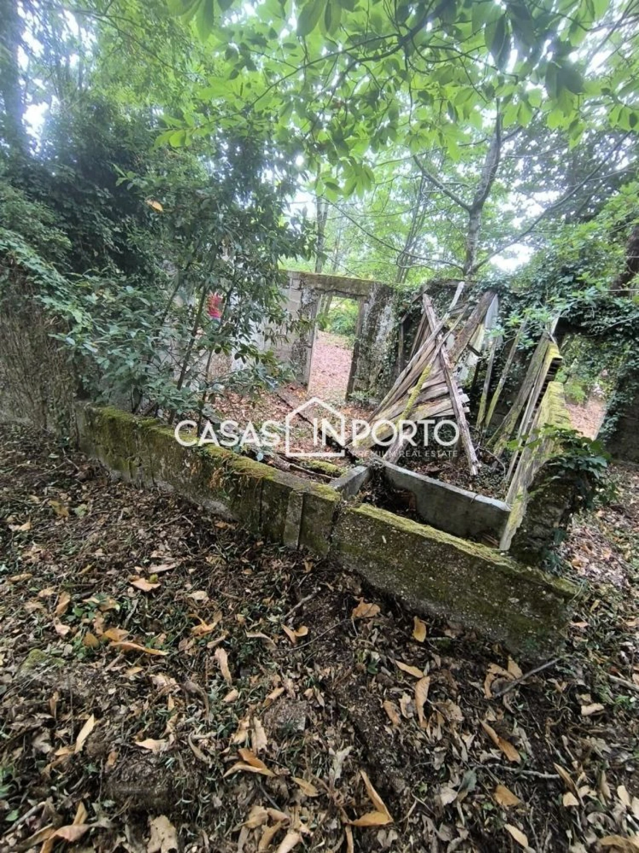 Moradia T10 para Venda em Lobão, Gião, Louredo e Guisande Foto 17