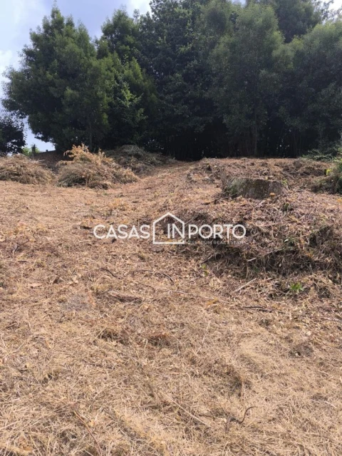 Moradia T10 para Venda em Lobão, Gião, Louredo e Guisande