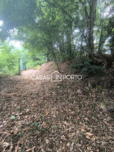 Moradia T10 para Venda em Lobão, Gião, Louredo e Guisande