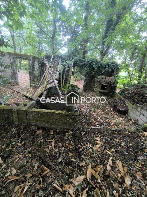 Moradia T10 para Venda em Lobão, Gião, Louredo e Guisande