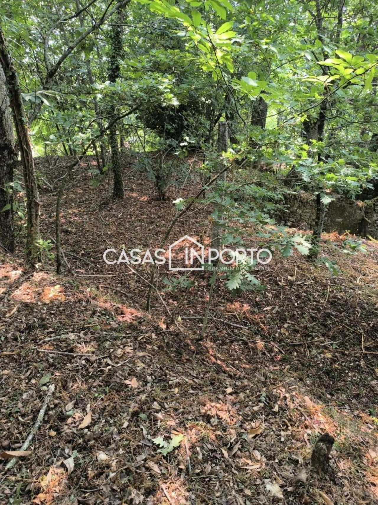 Moradia T10 para Venda em Lobão, Gião, Louredo e Guisande Foto 16