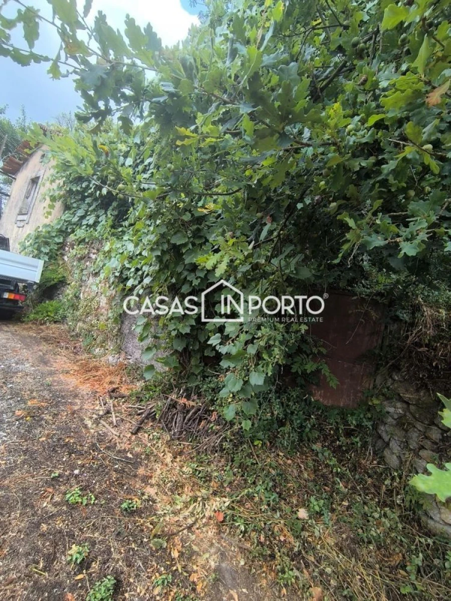 Moradia T10 para Venda em Lobão, Gião, Louredo e Guisande Foto 10