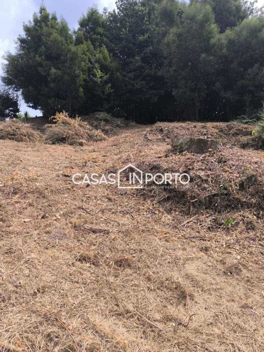 Moradia T10 para Venda em Lobão, Gião, Louredo e Guisande Foto 20