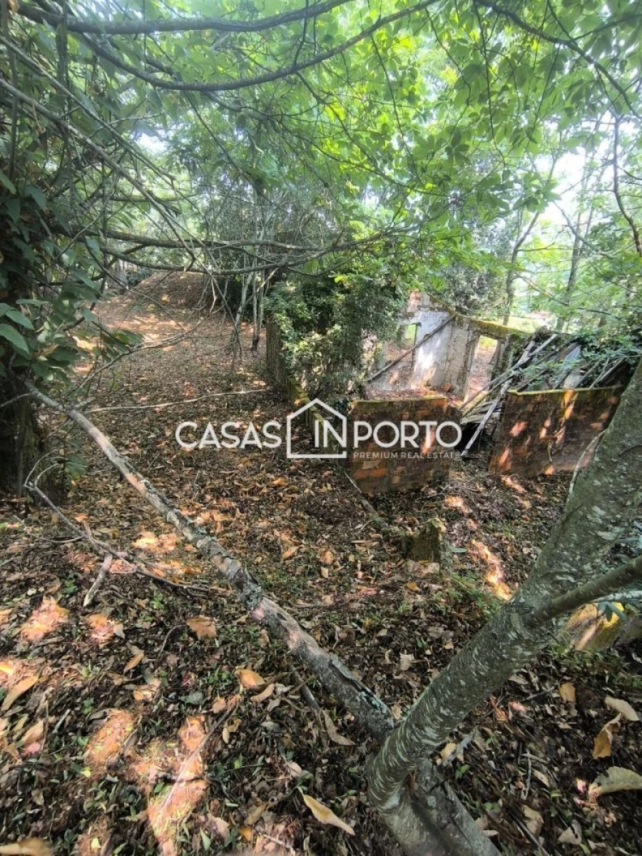 Moradia T10 para Venda em Lobão, Gião, Louredo e Guisande Foto 9