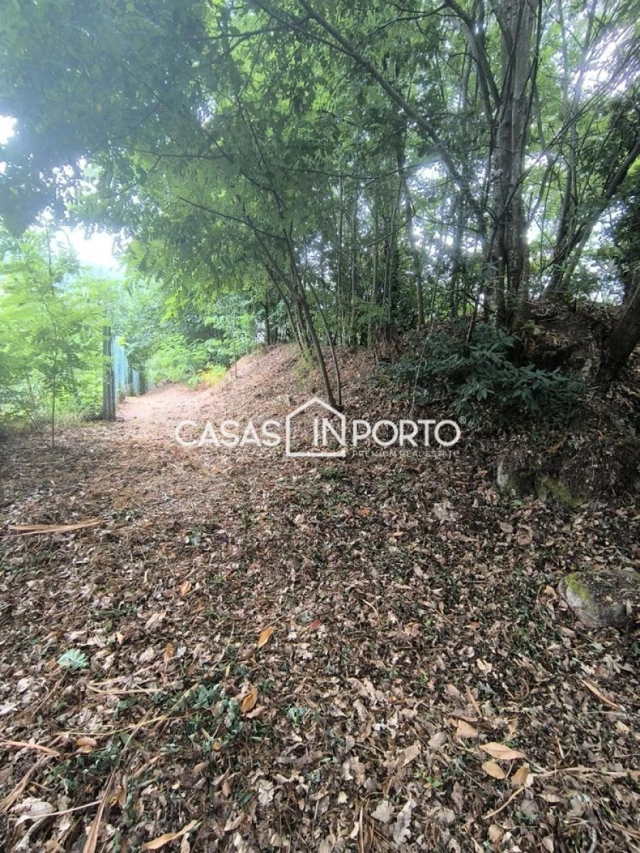 Moradia T10 para Venda em Lobão, Gião, Louredo e Guisande Foto 12