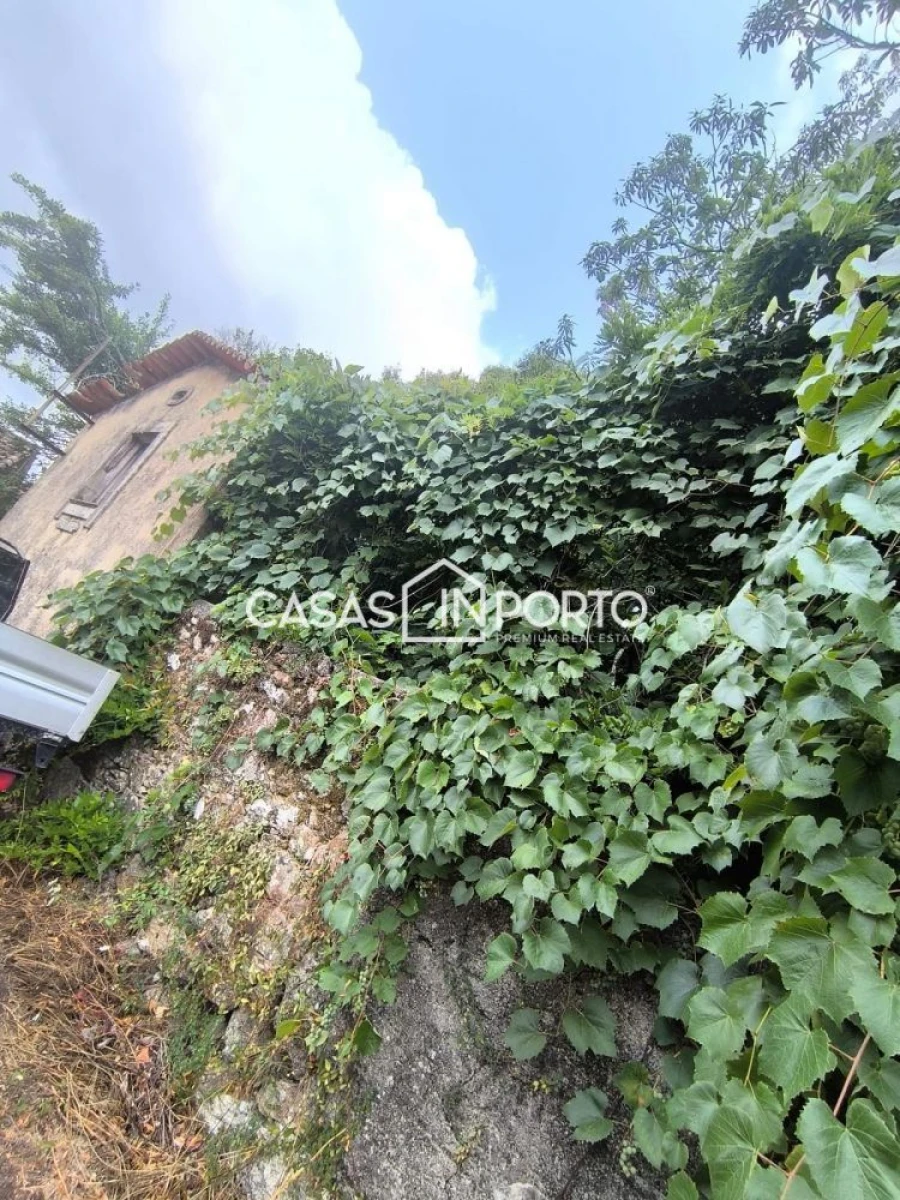 Moradia T10 para Venda em Lobão, Gião, Louredo e Guisande Foto 6
