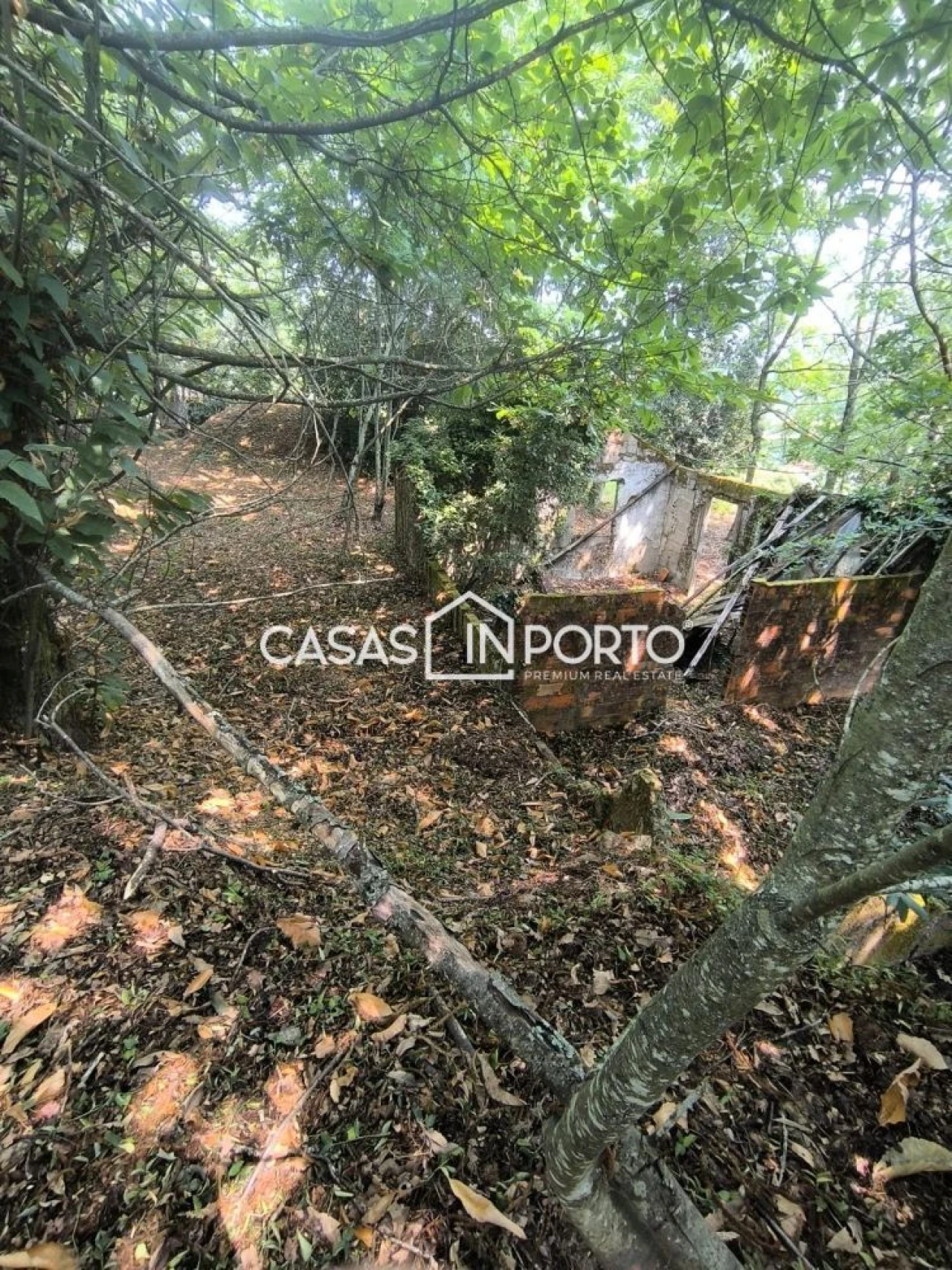 Moradia T10 para Venda em Lobão, Gião, Louredo e Guisande Foto 9