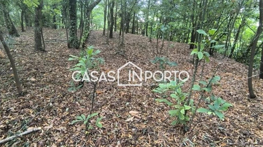 Moradia T10 para Venda em Lobão, Gião, Louredo e Guisande