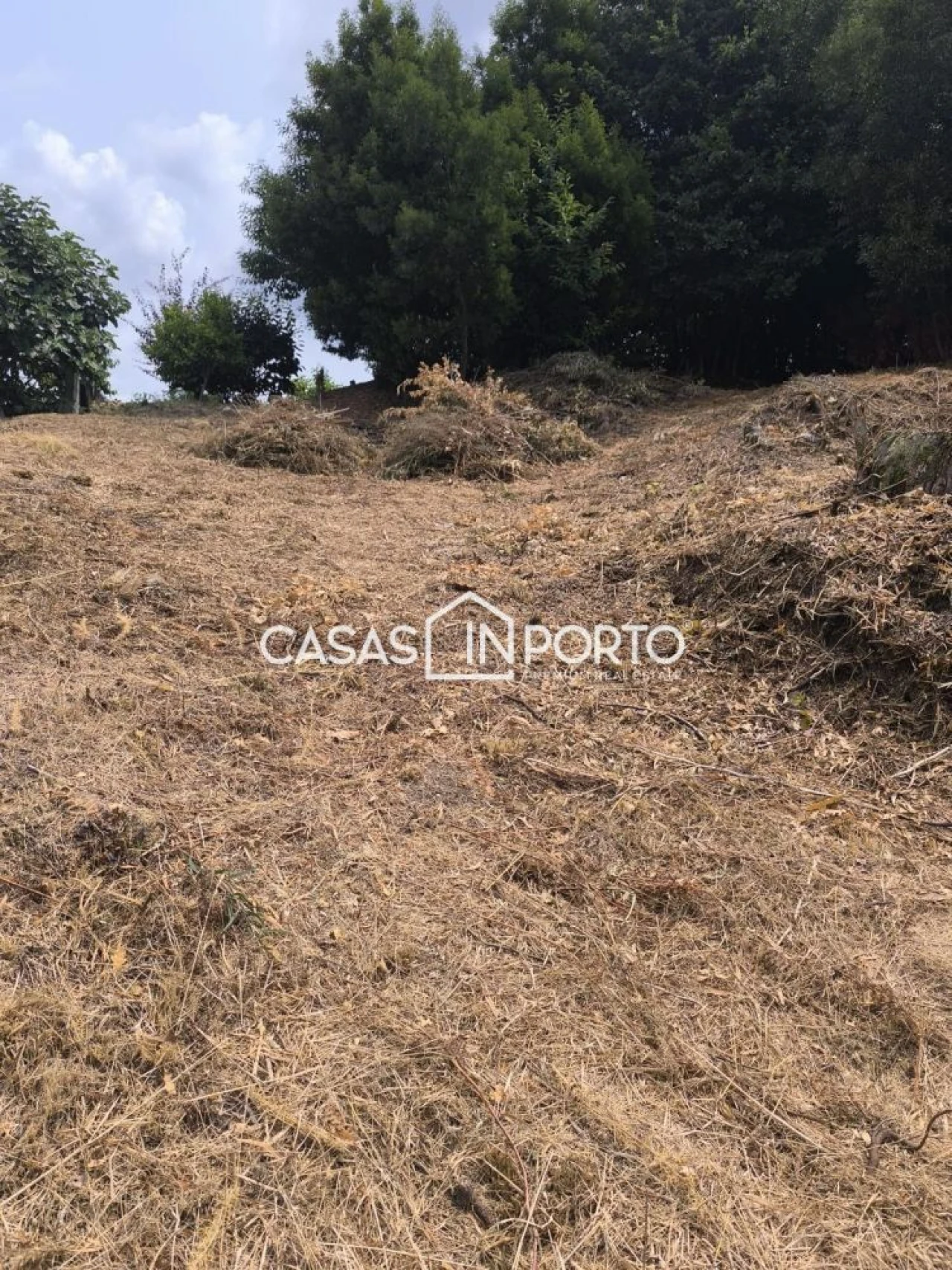 Moradia T10 para Venda em Lobão, Gião, Louredo e Guisande Foto 7