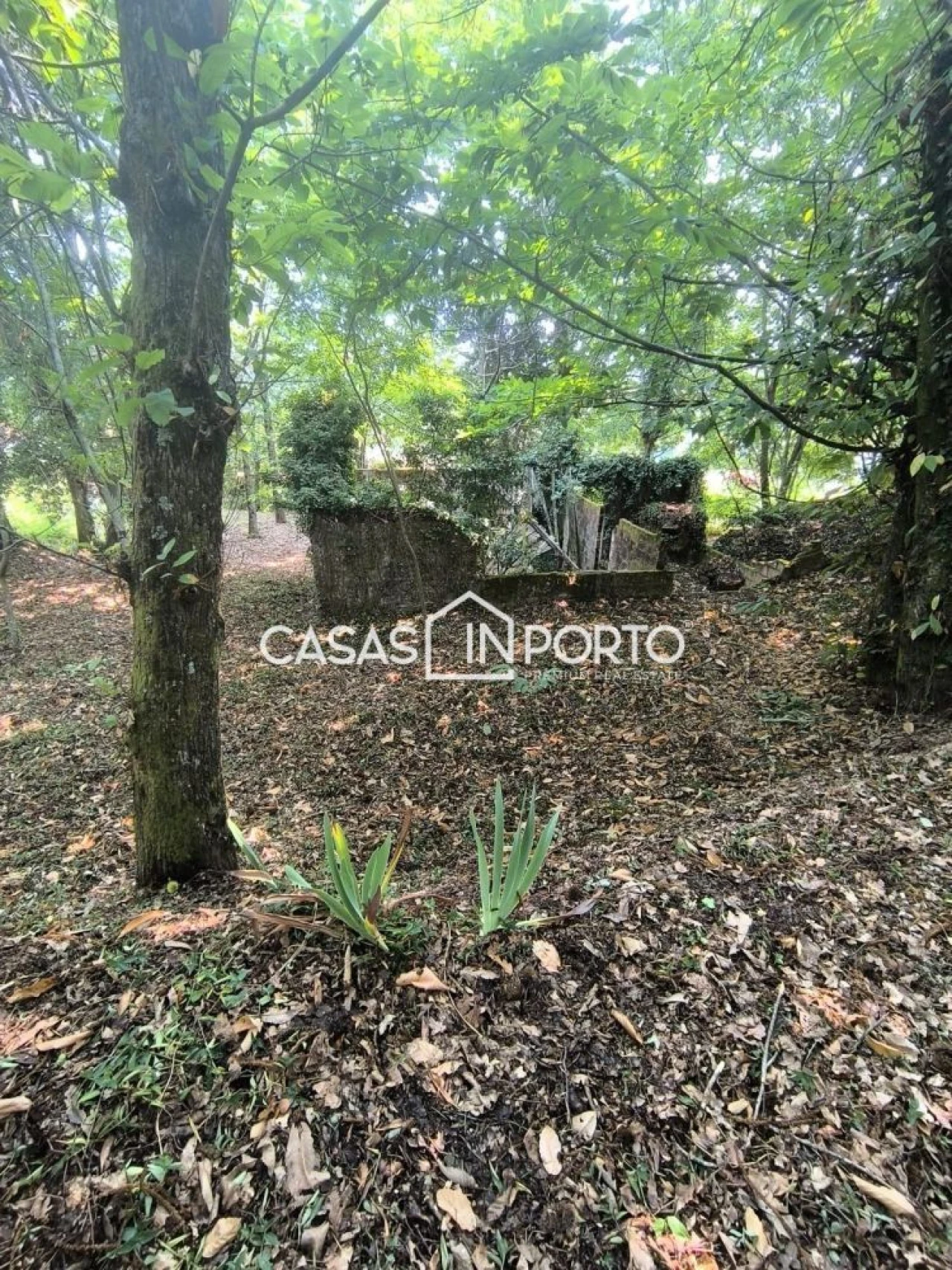 Moradia T10 para Venda em Lobão, Gião, Louredo e Guisande Foto 5