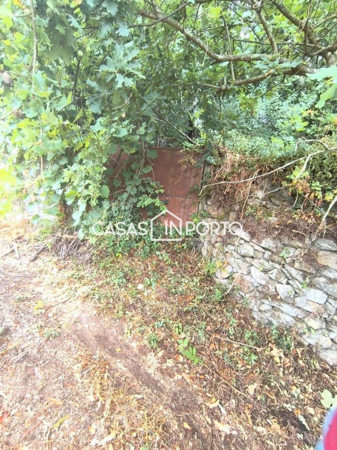 Moradia T10 para Venda em Lobão, Gião, Louredo e Guisande Foto 11