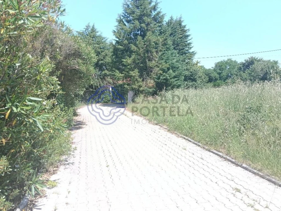 Quinta T1 para Venda em Vidais Foto 19