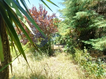 Quinta T1 para Venda em Vidais