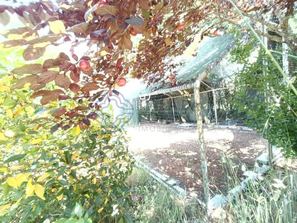 Quinta T1 para Venda em Vidais Foto 15