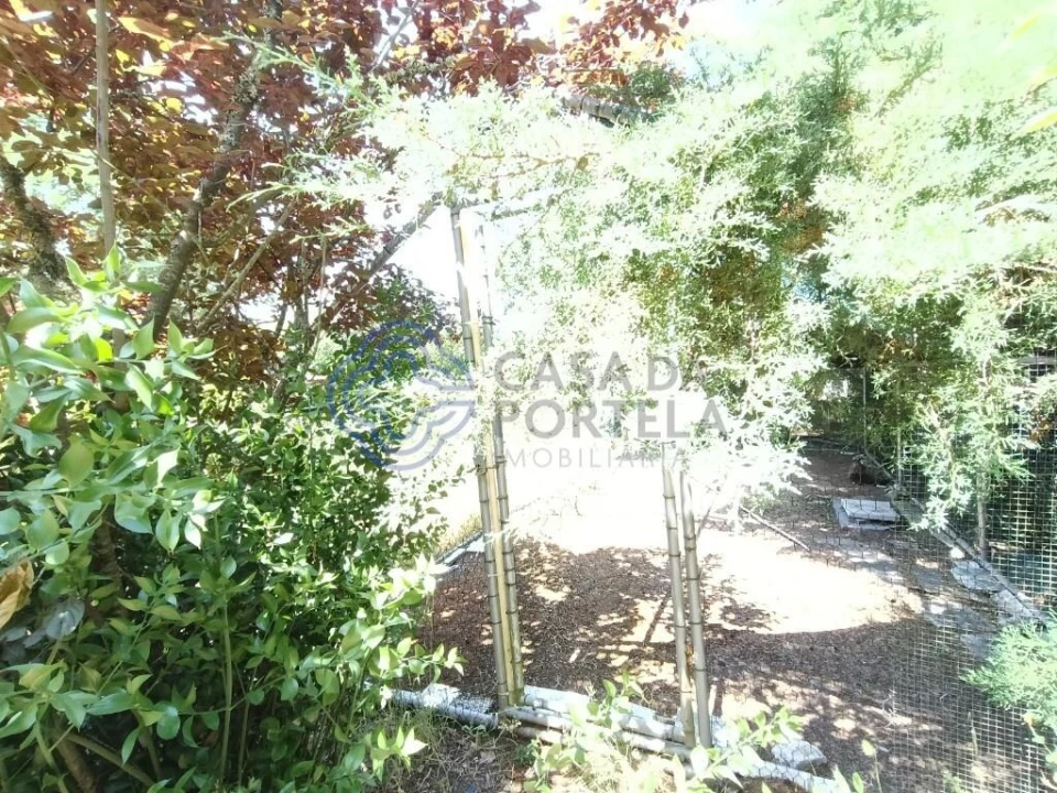 Quinta T1 para Venda em Vidais Foto 14
