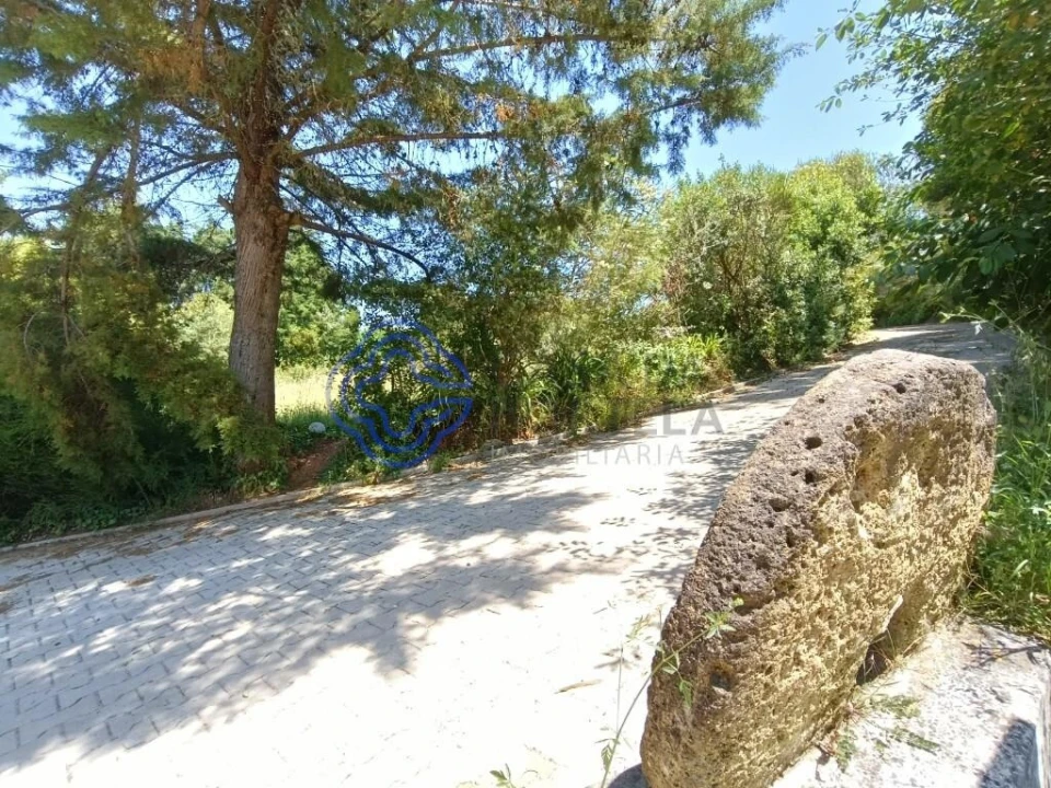 Quinta T1 para Venda em Vidais Foto 13