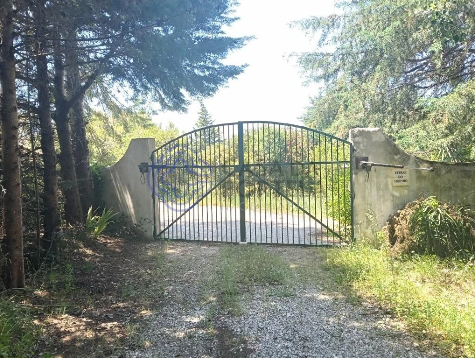 Quinta T1 para Venda em Vidais Foto 1