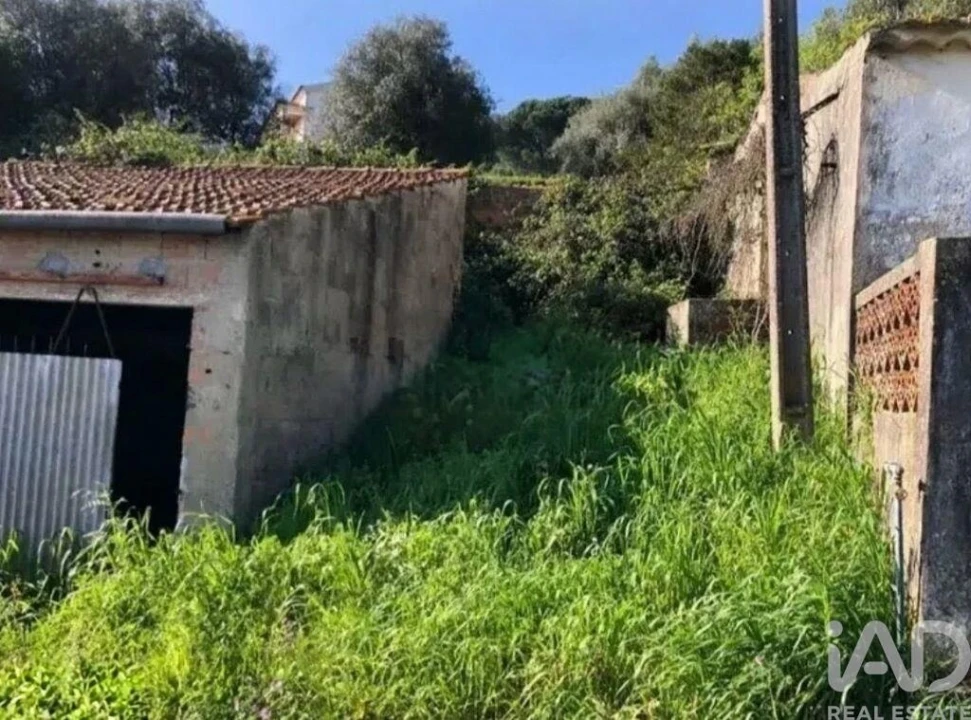 Moradia T4 para Venda em Alcobertas Foto 3