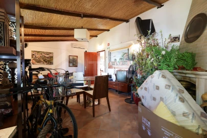 Quinta T4 para Venda em São Miguel do Pinheiro, São Pedro de Solis, São Sebastião dos Carros