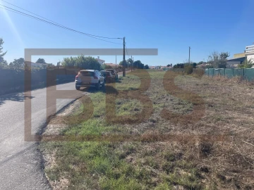 Terreno para Venda em Marinhais