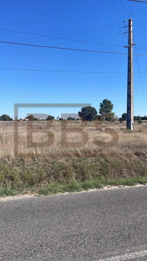 Terreno para Venda em Marinhais
