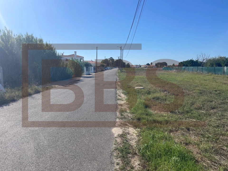 Terreno para Venda em Marinhais Foto 5