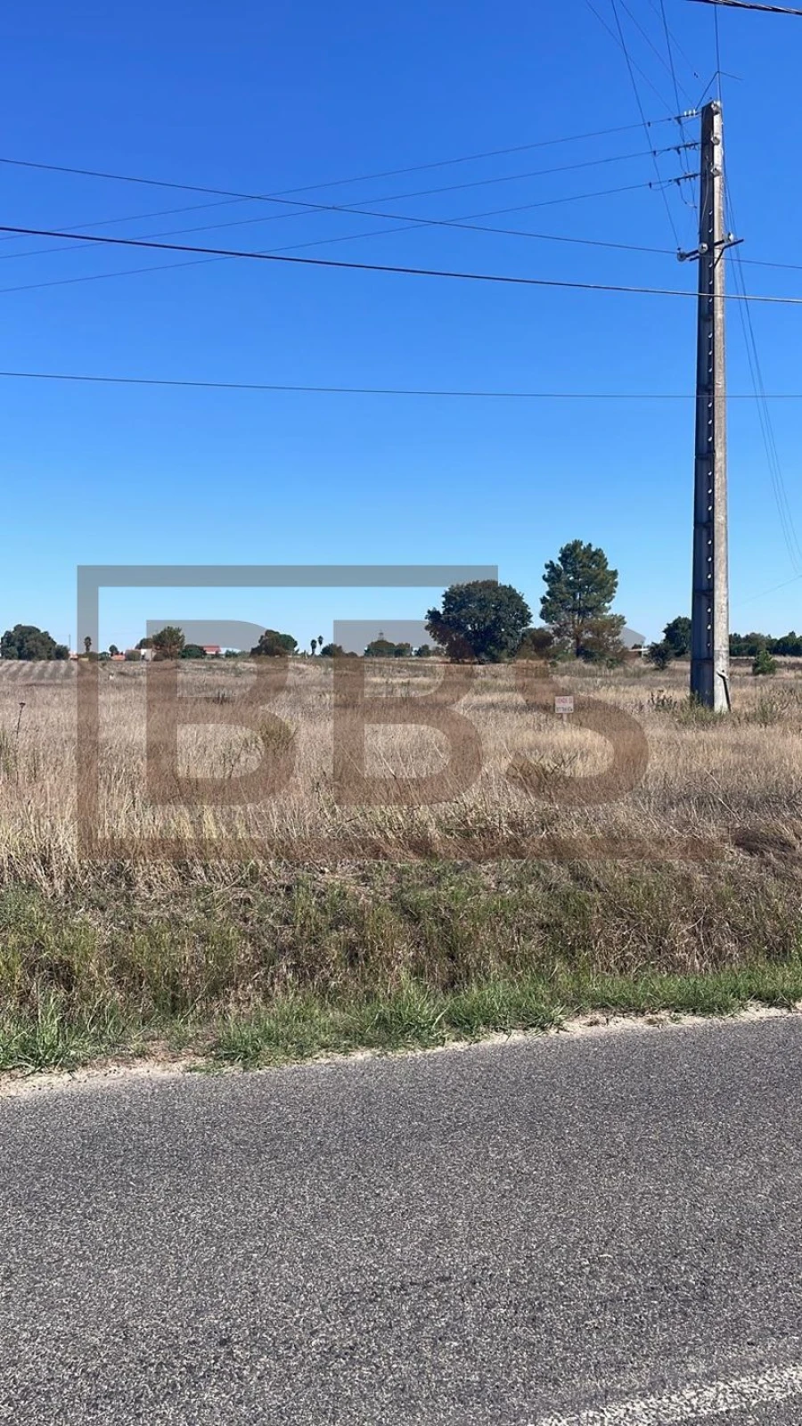 Terreno para Venda em Marinhais Foto 4