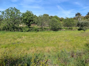 Terreno Agricola ou Rústico para Venda em Lajeosa do Mondego