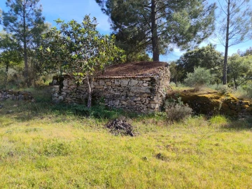Terreno Agricola ou Rústico para Venda em Lajeosa do Mondego