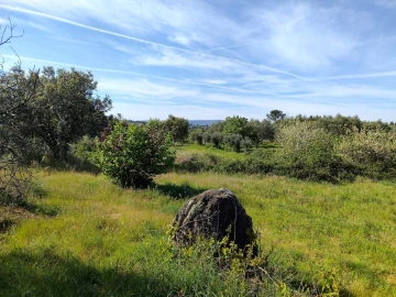 Terreno Agricola ou Rústico para Venda em Lajeosa do Mondego