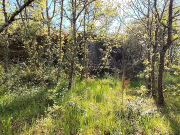Terreno Agricola ou Rústico para Venda em Lajeosa do Mondego