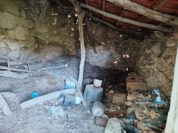 Terreno Agricola ou Rústico para Venda em Lajeosa do Mondego
