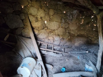 Terreno Agricola ou Rústico para Venda em Lajeosa do Mondego