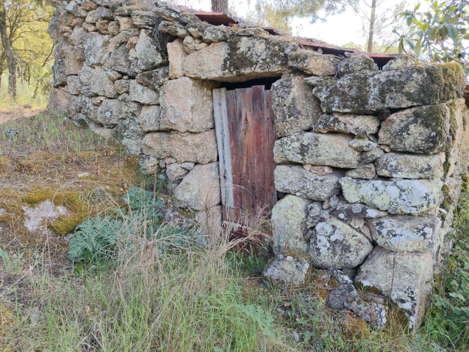 Terreno Agricola ou Rústico para Venda em Lajeosa do Mondego Foto 2
