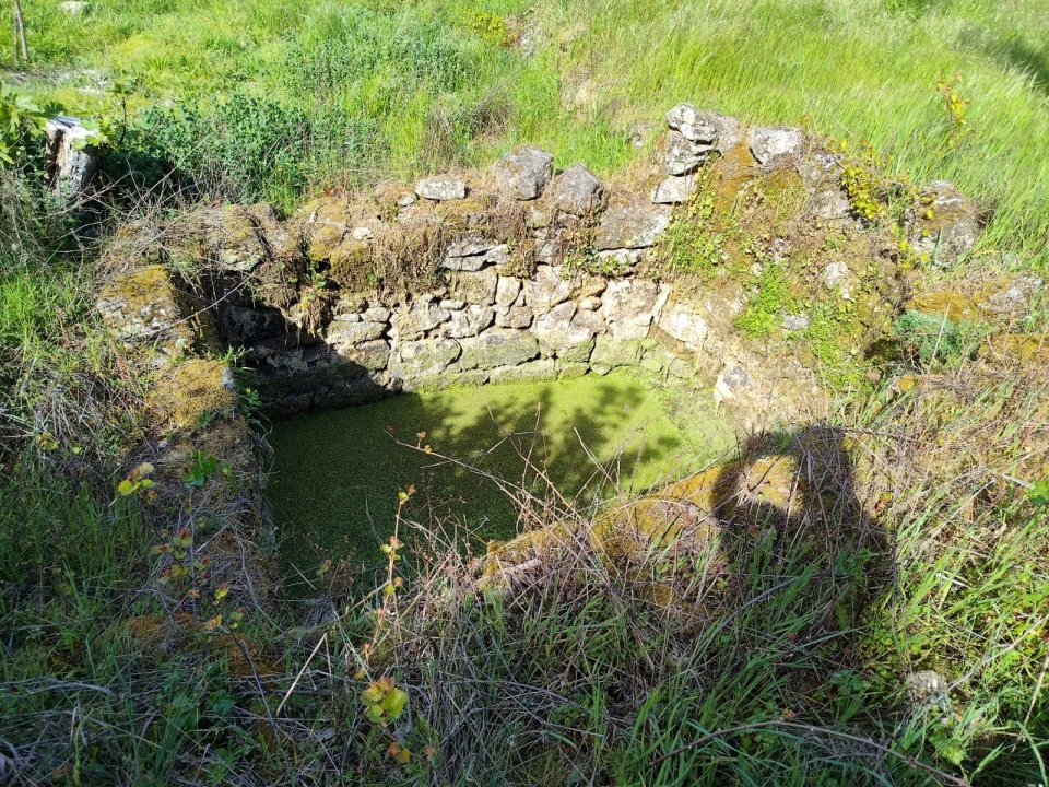 Terreno Agricola ou Rústico para Venda em Lajeosa do Mondego Foto 14
