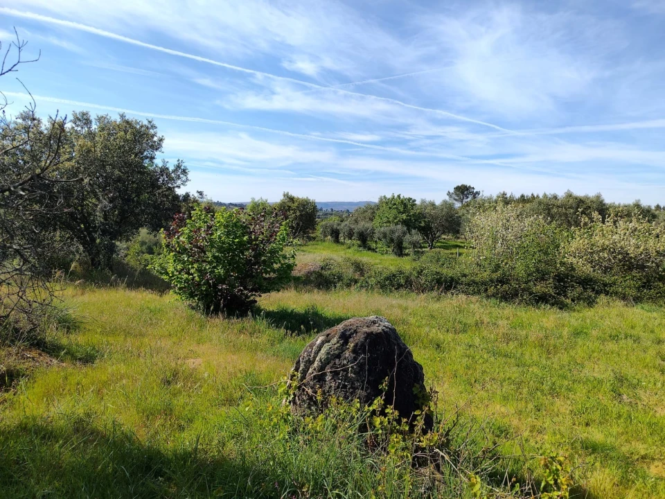 Terreno Agricola ou Rústico para Venda em Lajeosa do Mondego Foto 20
