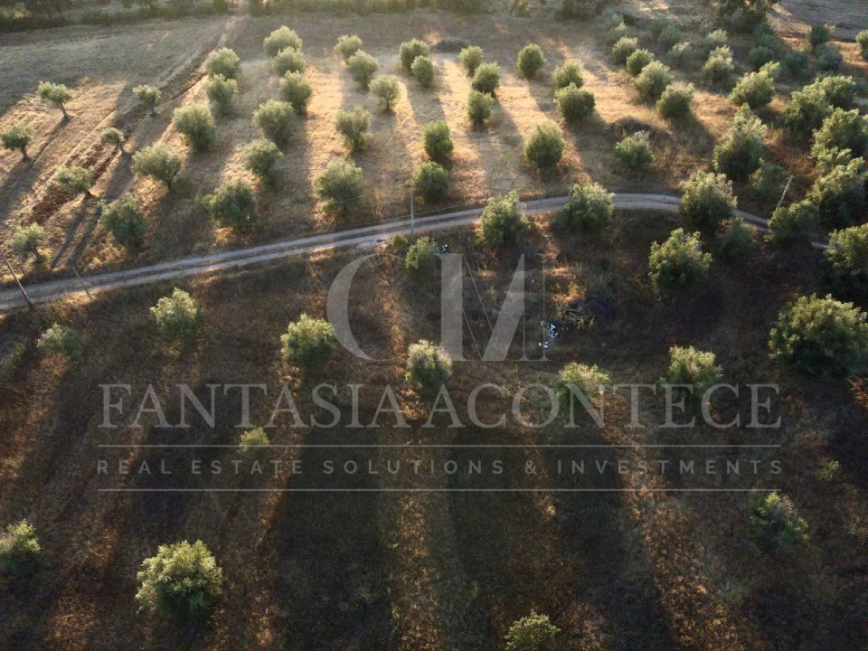 Terreno Misto para Venda em Casa Branca Foto 6