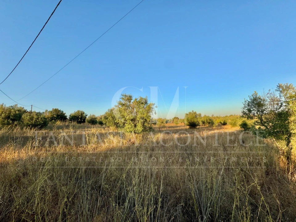 Terreno Misto para Venda em Casa Branca Foto 9