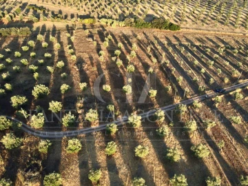 Terreno Misto para Venda em Casa Branca