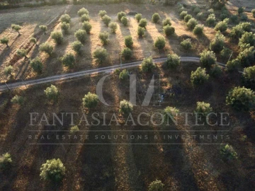 Terreno Misto para Venda em Casa Branca