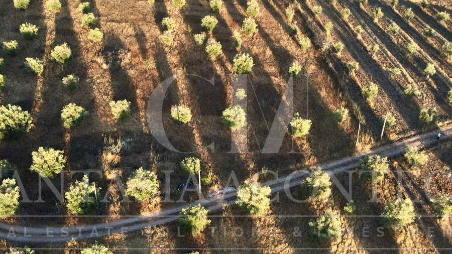 Terreno Misto para Venda em Casa Branca