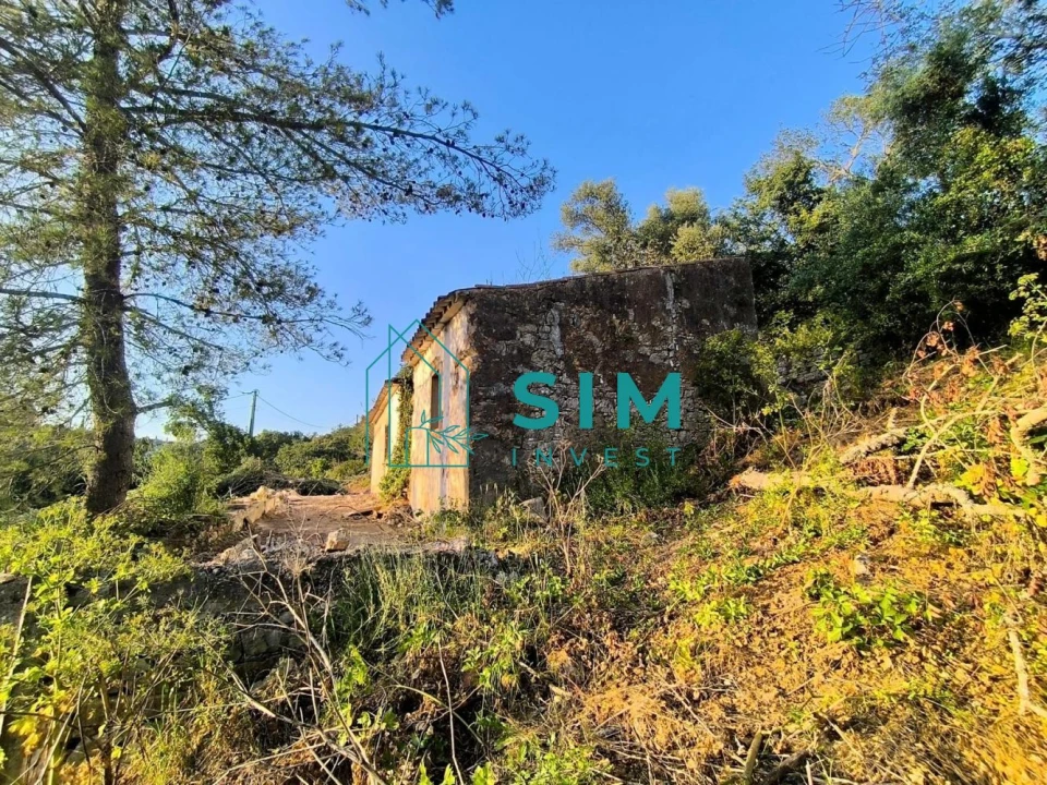 Moradia T3 para Venda em São Brás de Alportel Foto 2