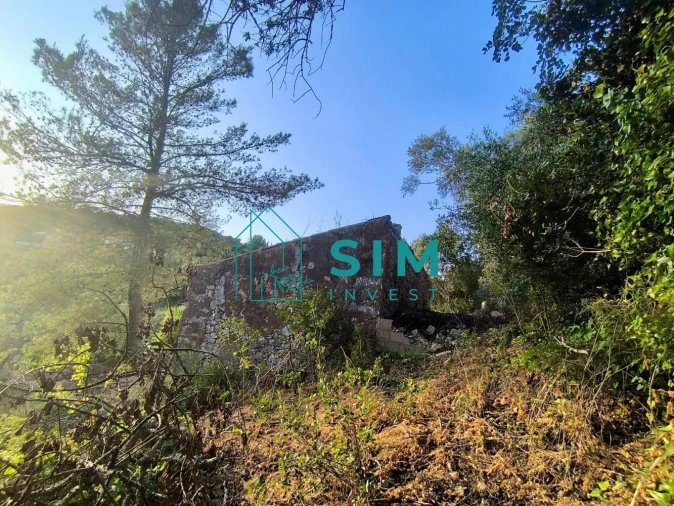 Moradia T3 para Venda em São Brás de Alportel Foto 19